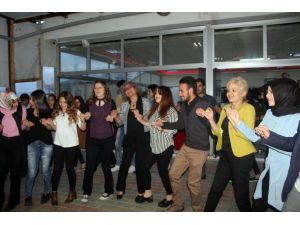 Hemşireler Haftası