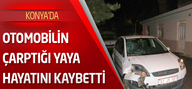 Otomobilin çarptığı yaya hayatını kaybetti