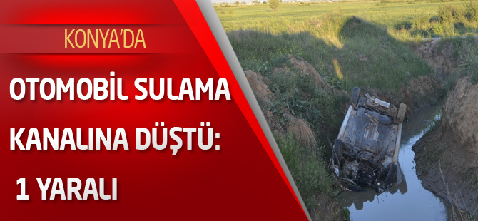 Otomobil sulama kanalına düştü: 1 yaralı