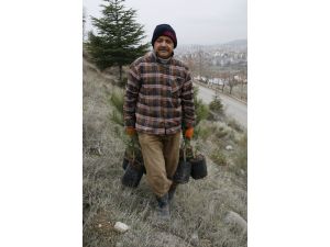 Emekli itfaiye amirinden ağaçlandırmaya destek