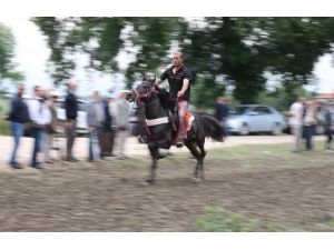 6. Geleneksel Altın Kemerli Rahvan At Yarışları