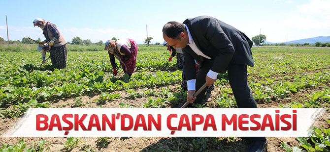 Özaltun, tarım işçilerini ziyaret etti
