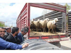 Haymana'da çiftçiye destek