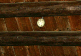 Camiyi devekuşu yumurtası koruyacak