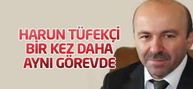 Tüfekçi yeniden bakan yardımcısı