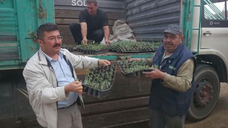 Lavanta fidesi dağıtıldı