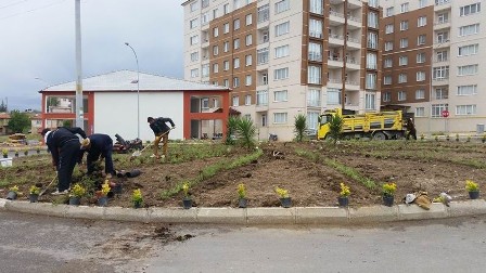 Caddeler Çiçek Bahçelerine Dönüyor