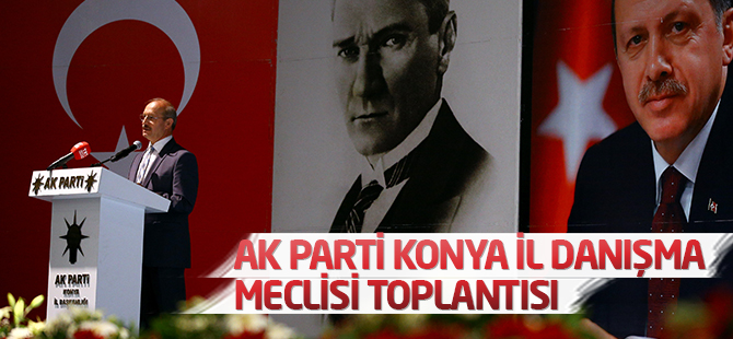 AK Parti Konya İl Danışma Meclisi toplantısı
