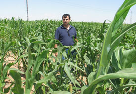 Damlama sulama sistemiyle tasarruf