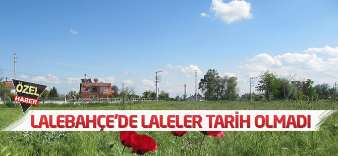 Lalebahçe’de laleler tarih olmadı