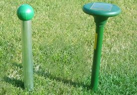 Bu cihaz köstebek kaçırıyor