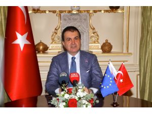 AB Bakanı Çelik, Hollanda'da