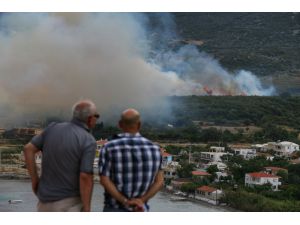 GÜNCELLEME- İzmir'de orman yangını