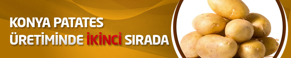 Konya patates üretiminde ikinci sırada