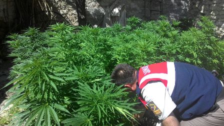 Beyşehir'de uyuşturucu operasyonu