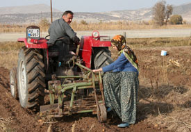 Beyşehir patatesle adını duyuracak
