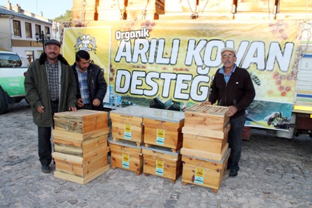 Büyükşehir’den üreticiye arı desteği