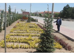 Nevşehir'den kısa kısa