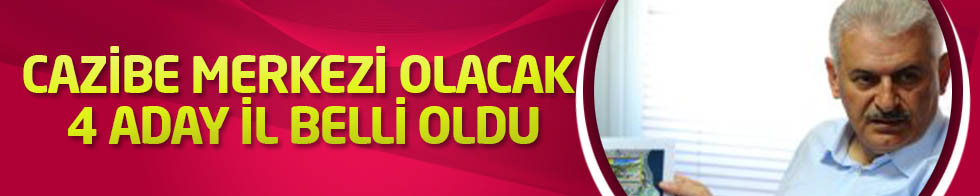 Hükümetin Cazibe Merkezi Yapmayı Planladığı 4 Aday İl Belli Oldu