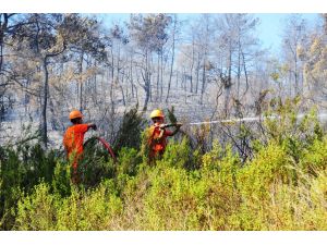 GÜNCELLEME - Kemer'de orman yangını