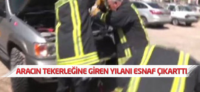 Aracın Tekerleğine Giren Yılanı Esnaf Çıkarttı