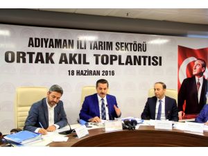 Gıda, Tarım ve Hayvancılık Bakanı Çelik: