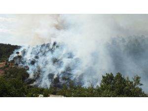 Mersin'deki orman yangını