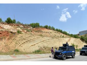 Tunceli'de yaban keçileri için karayolunda önlem