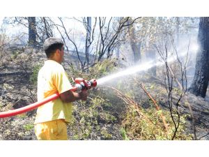 Kemer'de orman yangını