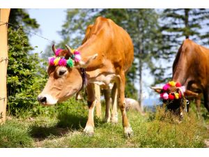 Göçerlerin ramazanda zorlu yolculuğu