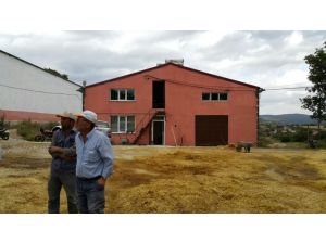 Balıkesir'deki şarbon hastalığı