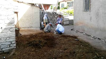 Tavuk vebası taraması yapıldı