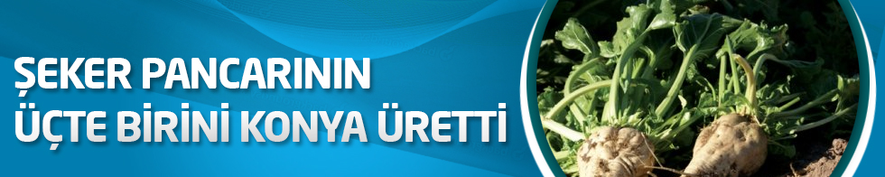 Şeker pancarının üçte birini Konya üretti