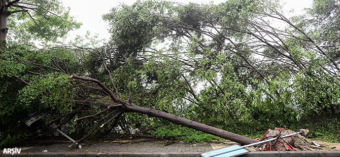 Çin'de hortum ve fırtına: 51 ölü