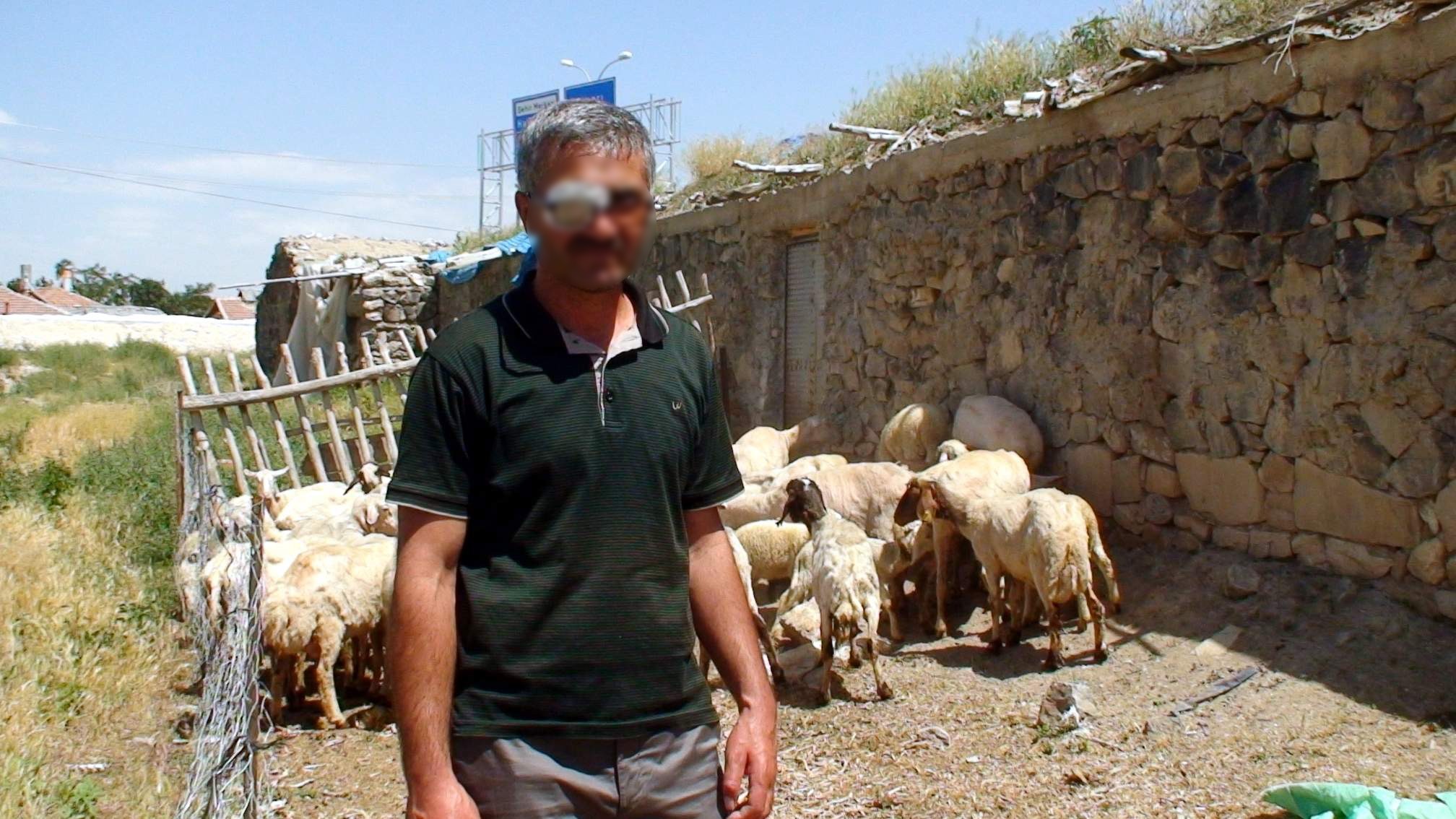 Çobana cinsel ilişki teklif edip, parasını çaldılar