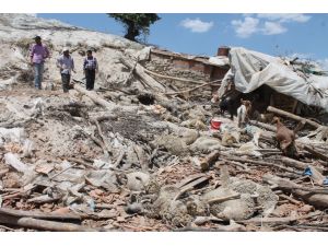 Manisa'da ahır çöktü, 56 koyun telef oldu