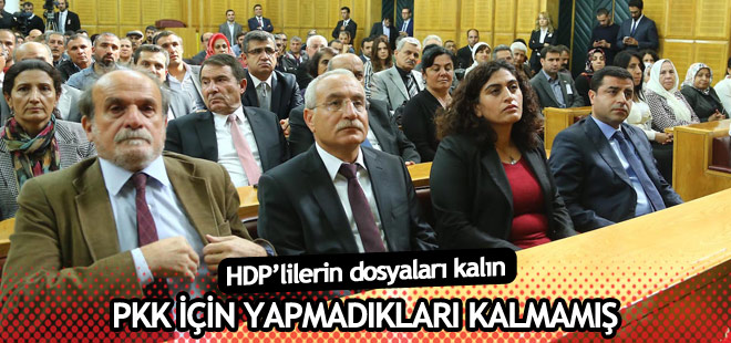 HDP'lilerin dosyaları kalın: PKK için Yapmadıkları kalmamış