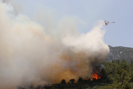 Adrasan'da orman yangını