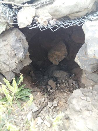 Terör örgütüne yönelik operasyonlar