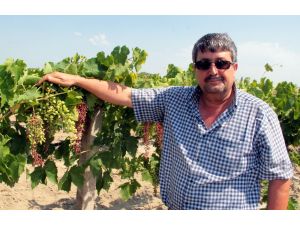 Saruhanlı Ziraat Odası Başkanı Okur: