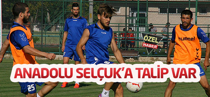 Anadolu Selçuk’a Talip Var
