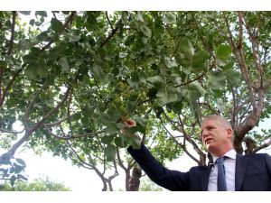 Vali Gül'den Suşehri'ne ziyaret