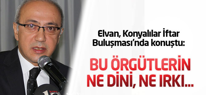 Lütfi Elvan: ‘Bu örgütlerin ne dini, ne imanı, ne de ırkı var’