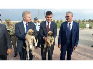 Vali Gül'den Kangal ilçesine ziyaret