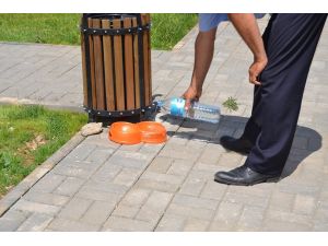 Nallıhan Belediyesi'nin çalışmaları