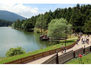 Abant ve Gölcük Tabiat Parkı'na yoğun ilgi