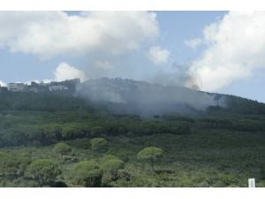 İstanbul'da orman yangını