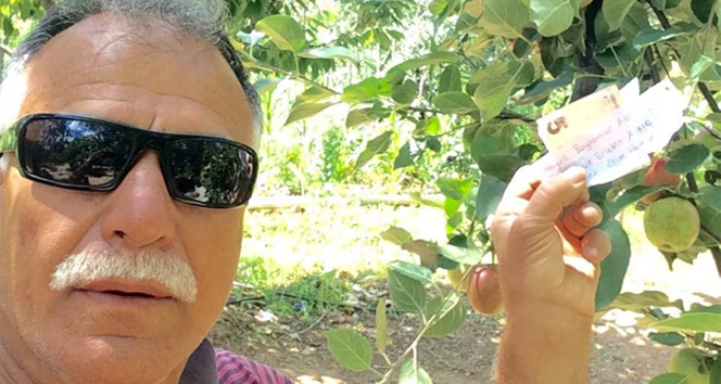 Hamile eşi için aldığı meyvelerin parasını ağaca astı