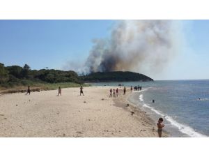 GÜNCELLEME - Gelibolu Yarımadası'nda orman yangını