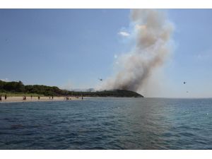 GÜNCELLEME 2 - Gelibolu Yarımadası'nda orman yangını